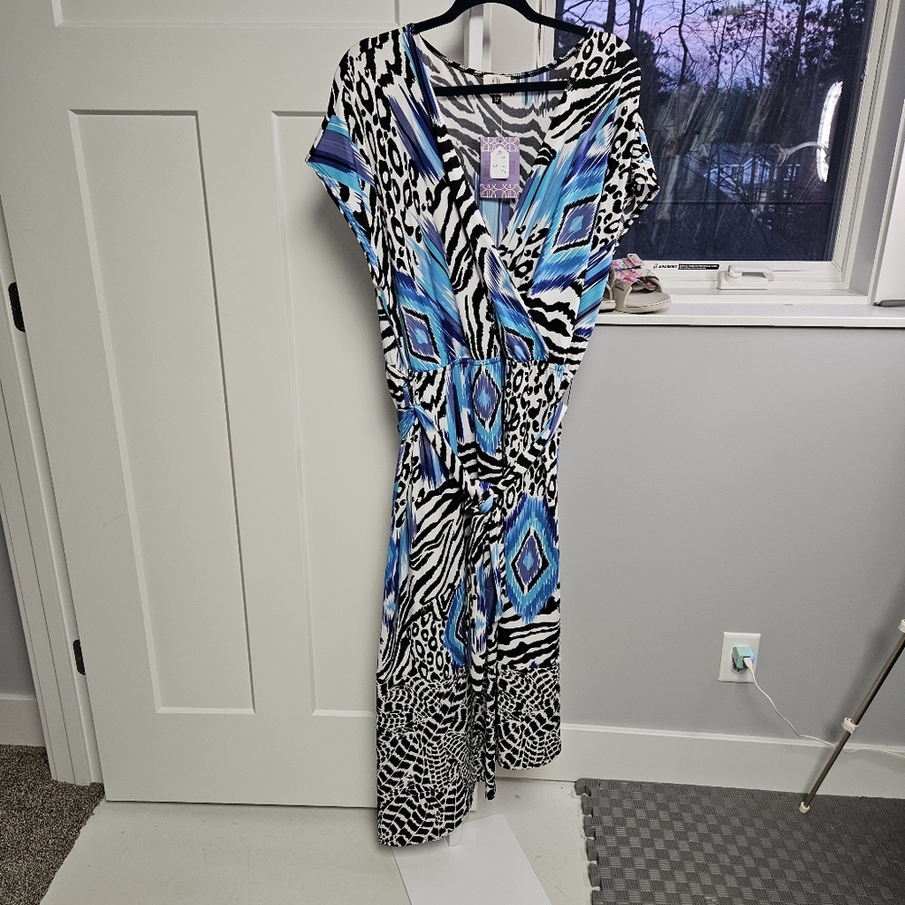 Got in Hollywood dress size 2x